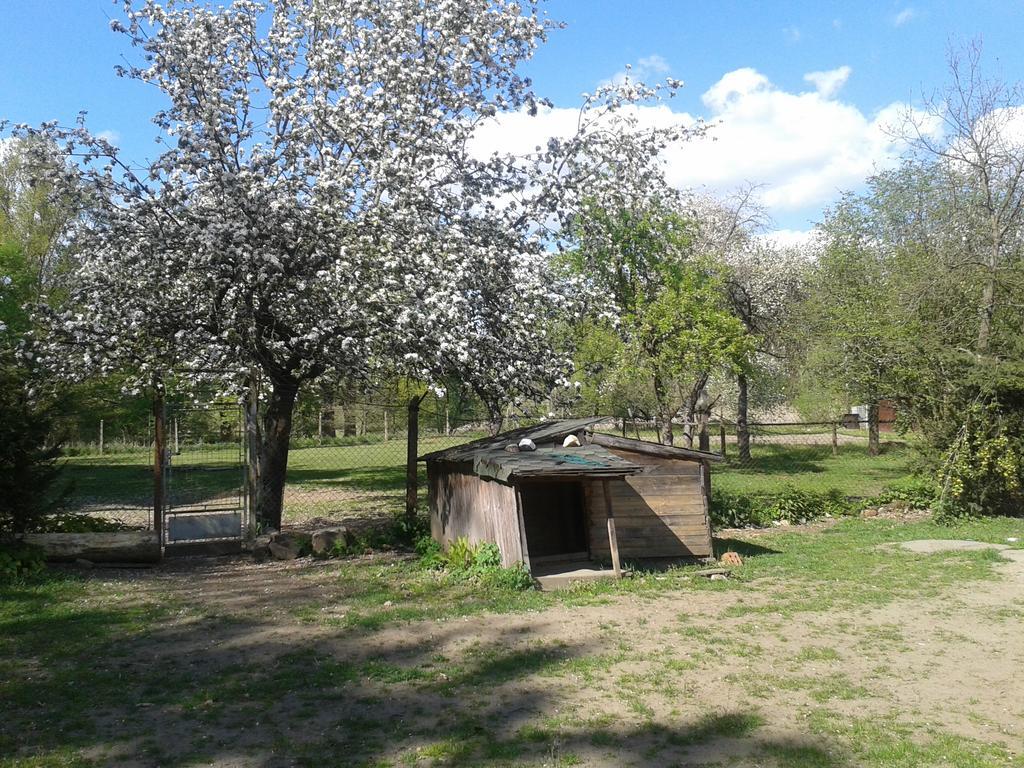 Chata Zahrada Madeta Veselí nad Lužnicí Kültér fotó
