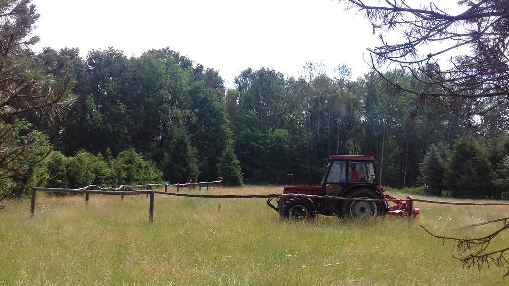 Chata Zahrada Madeta Veselí nad Lužnicí Kültér fotó