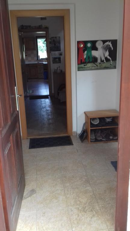 Chata Zahrada Madeta Veselí nad Lužnicí Kültér fotó