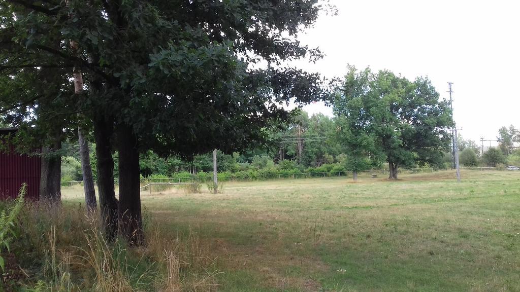Chata Zahrada Madeta Veselí nad Lužnicí Kültér fotó