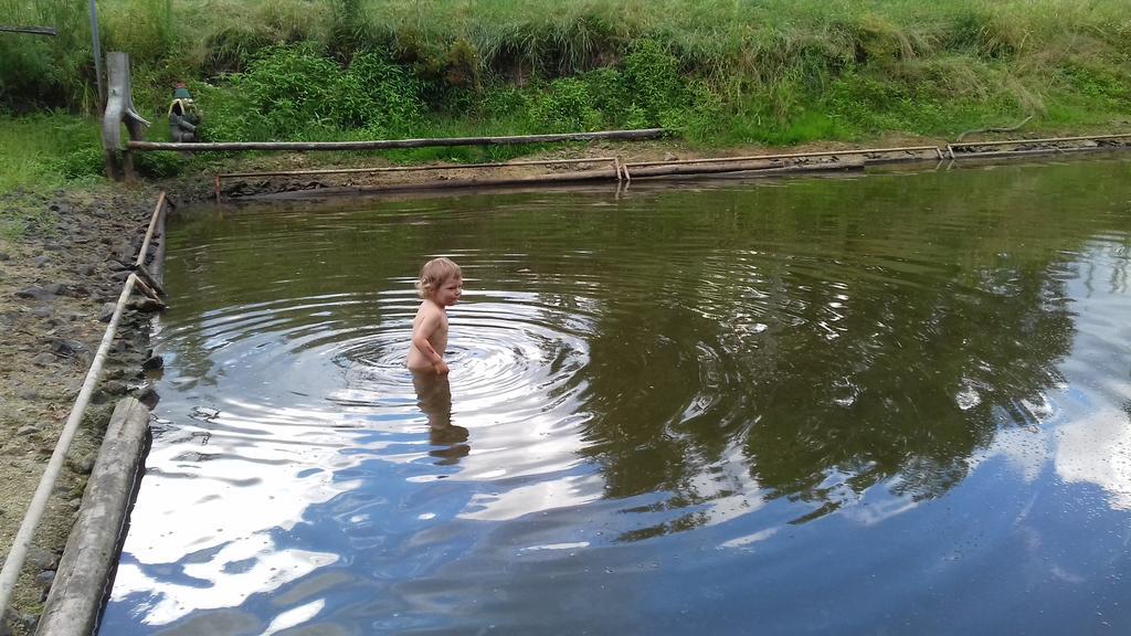 Chata Zahrada Madeta Veselí nad Lužnicí Kültér fotó